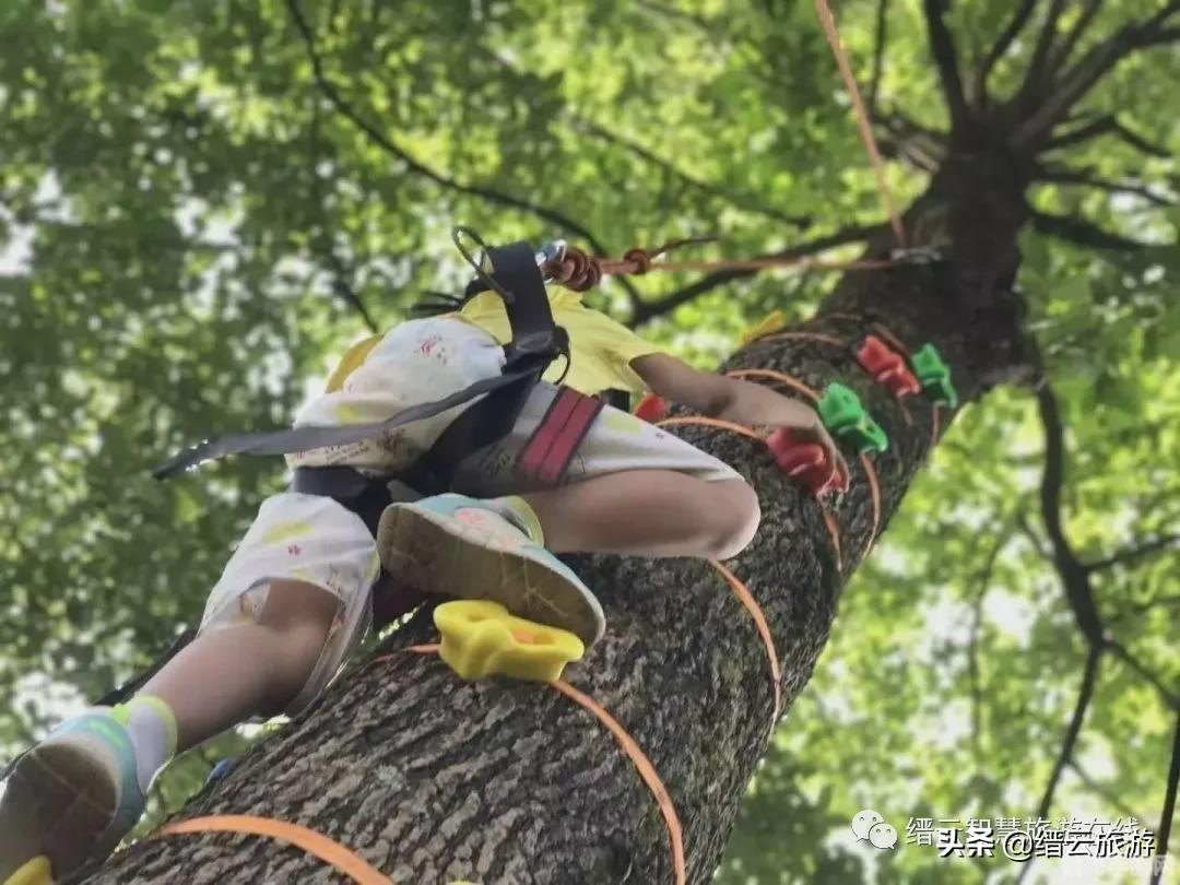 缙云游戏中心,缙云游戏中心,玩家天堂,游戏乐趣无边界