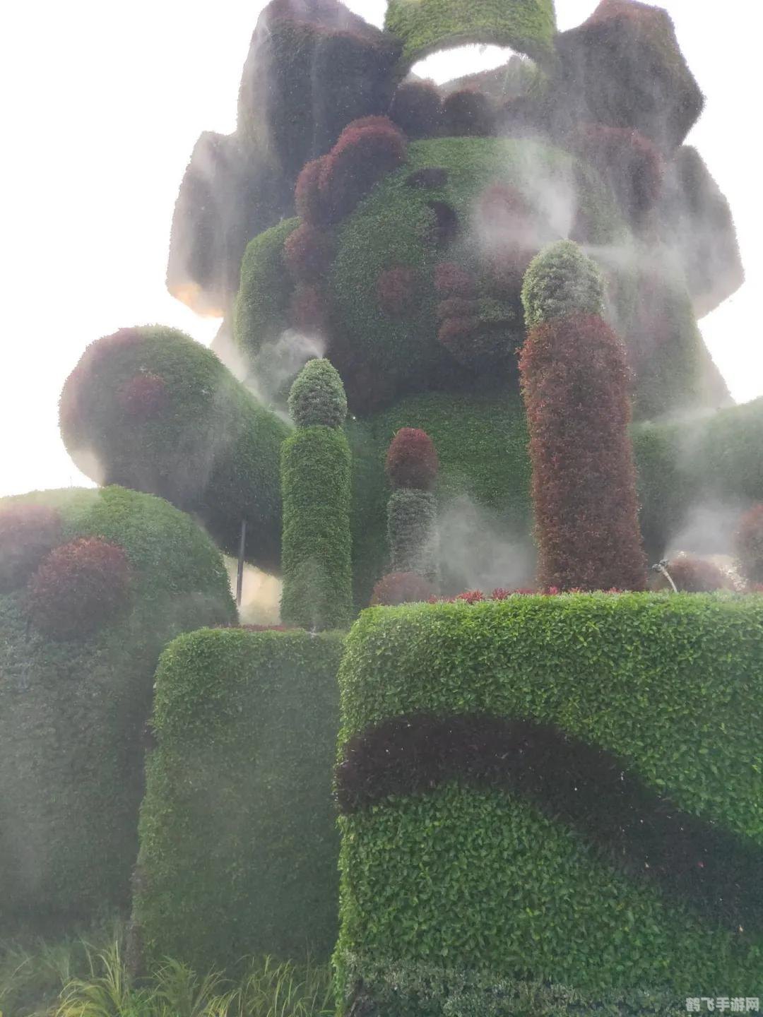 魔豆怎么种,魔豆种植全攻略，打造你的奇幻花园