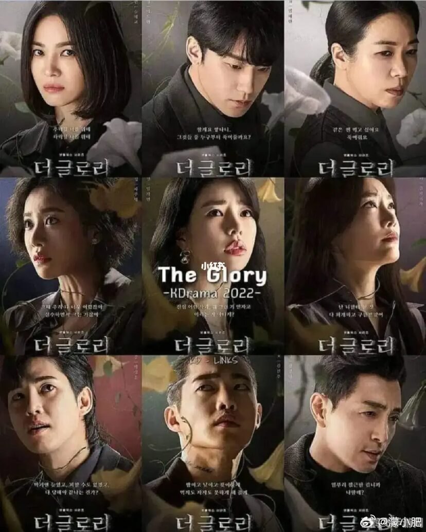 黑暗荣耀观剧指南,这些APP让你畅享韩剧魅力