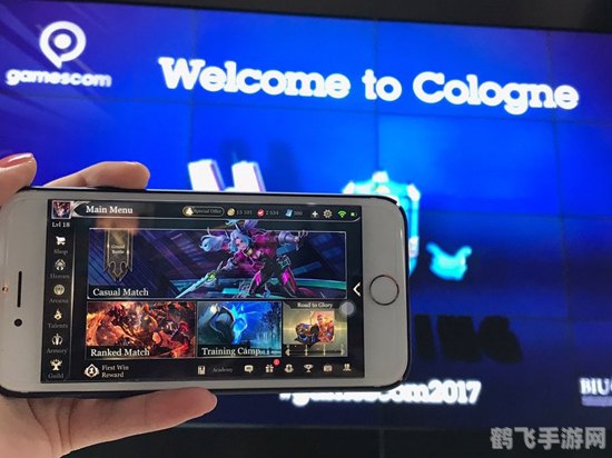 金立手机软件,金立手机用户专属，手游王者荣耀高阶玩法与攻略