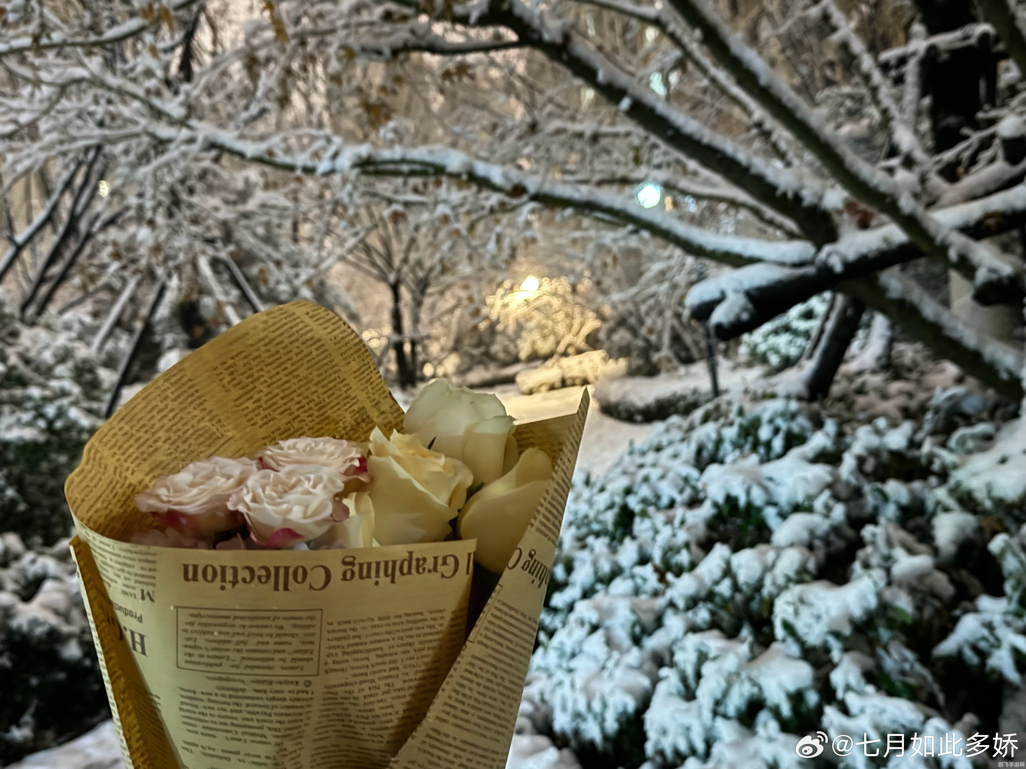 张万森下雪了——探索手游中的浪漫雪景与独特玩法