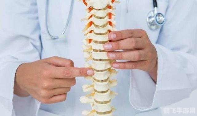 与等量牛奶相比奶酪的蛋白质含量,奶酪与牛奶的蛋白质对决,手游玩家的营养秘籍与游戏攻略