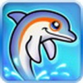 跳跃的海豚