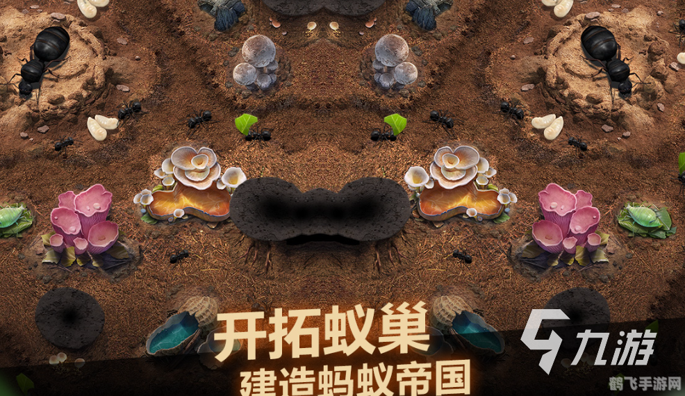 蚂蚁呀嘿手游攻略,打造你的蚂蚁帝国