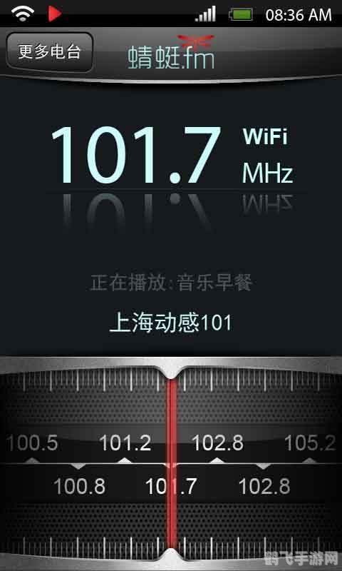 蜻蜓FM收音机，聆听乐趣，探索无限广播世界