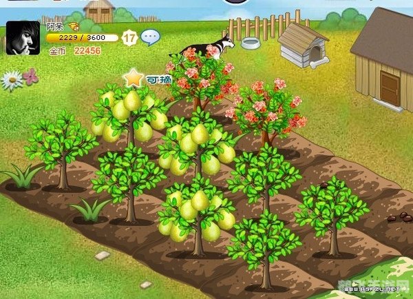 QQ农场偷菜攻略,成为偷菜达人的秘诀!