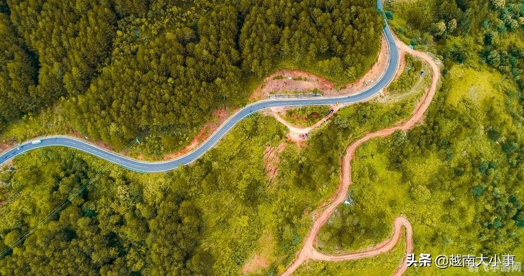 色彩挑战小游戏攻略与资讯