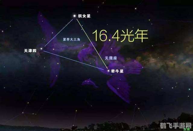 牛郎星和织女星分别是哪两个星座,揭秘牛郎星与织女星，探寻星空中的爱情传说