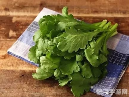 生菜和茴香哪个含盐量高,生菜与茴香,蔬菜中的盐值之战,手游中的盐略之道