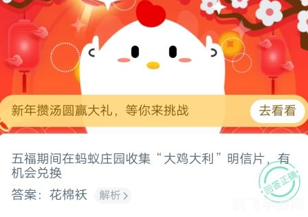 大鸡大利明信片,大鸡大利明信片手游攻略,如何快速收集与升级