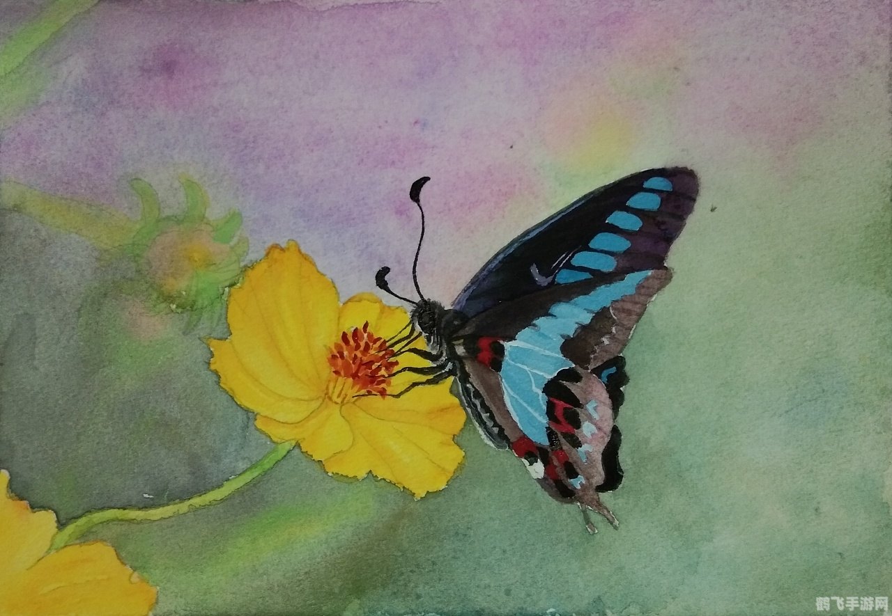 花蝴蝶免费版大全,花蝴蝶免费版大全,探索绘画与追剧的双重魅力