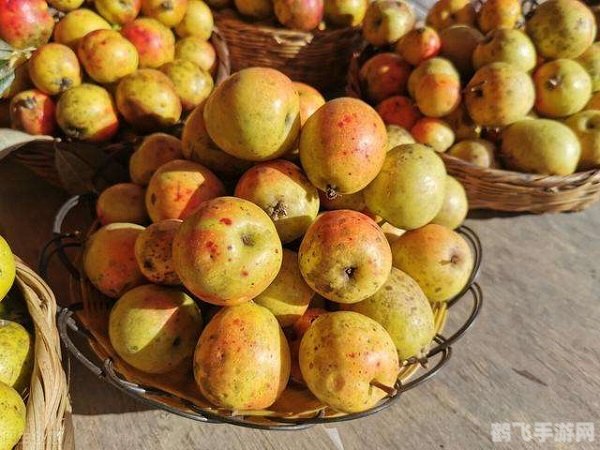 多依果就是苹果吗,揭秘多依果与苹果的关系,你真的了解它们吗?