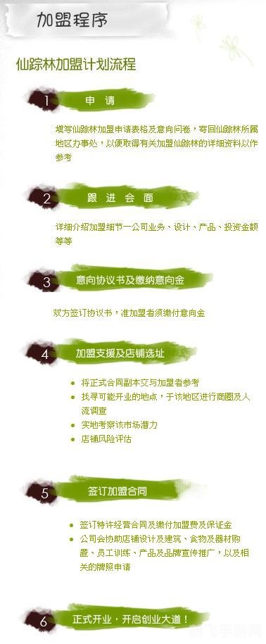 仙踪林探秘，手游新手指南与进阶攻略