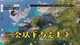 天刀双枫崖，手游攻略与玩法详解