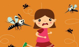 夏天白天穿什么颜色的衣服招蚊子,夏日防蚊攻略,白天穿衣颜色选择大揭秘