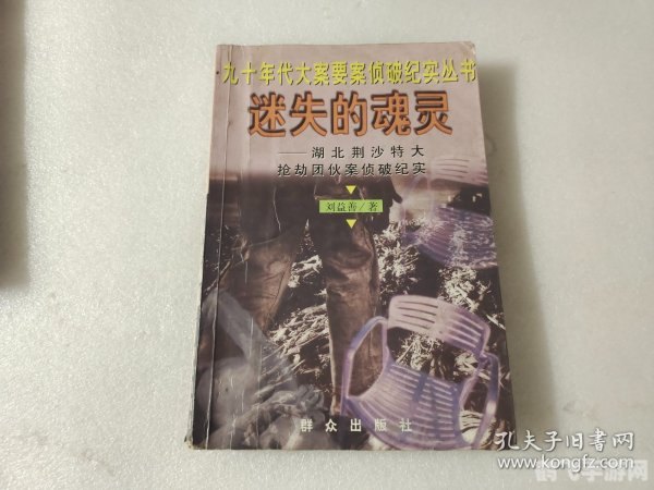 迷失的灵魂,迷失的灵魂手游深度攻略，探索未知，找回失落的灵魂