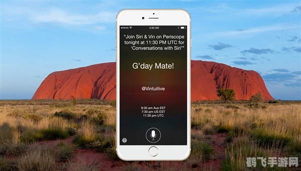 ios14画中画怎么用,iOS14画中画功能大揭秘,手游玩家的新助手