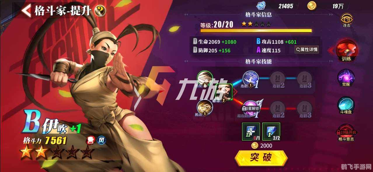 霸王忍法帖出招绝技全解析,制胜攻略大揭秘!