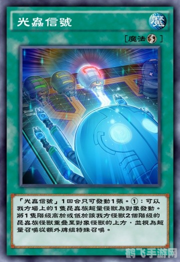 Raysource手游攻略,掌握这些技巧,轻松成为游戏高手