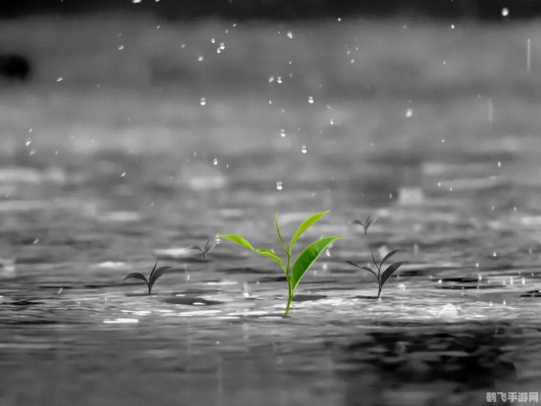 春雨贵如油所有地区都适用吗,春雨贵如油，各地效果大不同——游戏天气系统详解