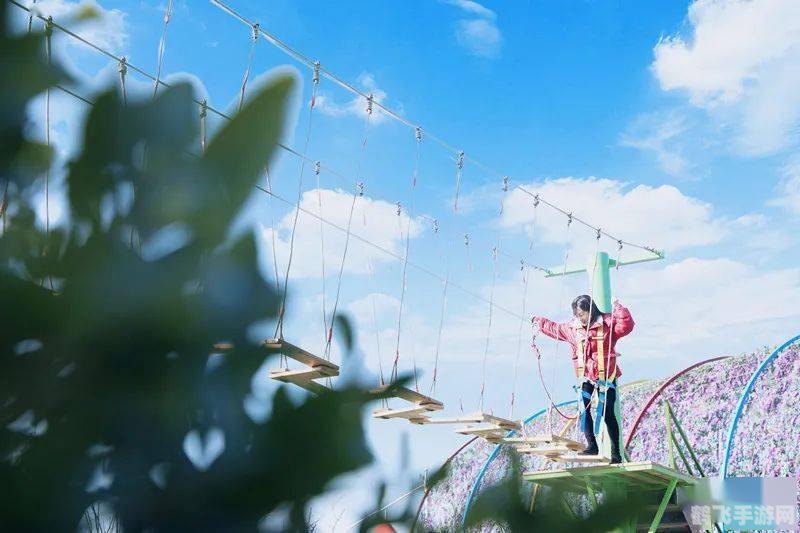 金华凤凰游戏山庄,金华凤凰游戏山庄手游攻略,玩转奇幻世界,成为游戏大师!