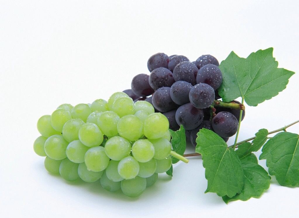 葡萄糖之所以葡萄命名,葡萄糖之旅,手游中的甜蜜冒险与攻略