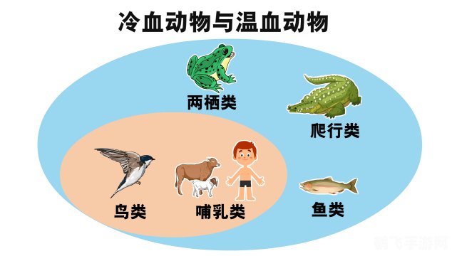 揭秘冷血动物的体温奥秘，探索游戏中的生存法则！