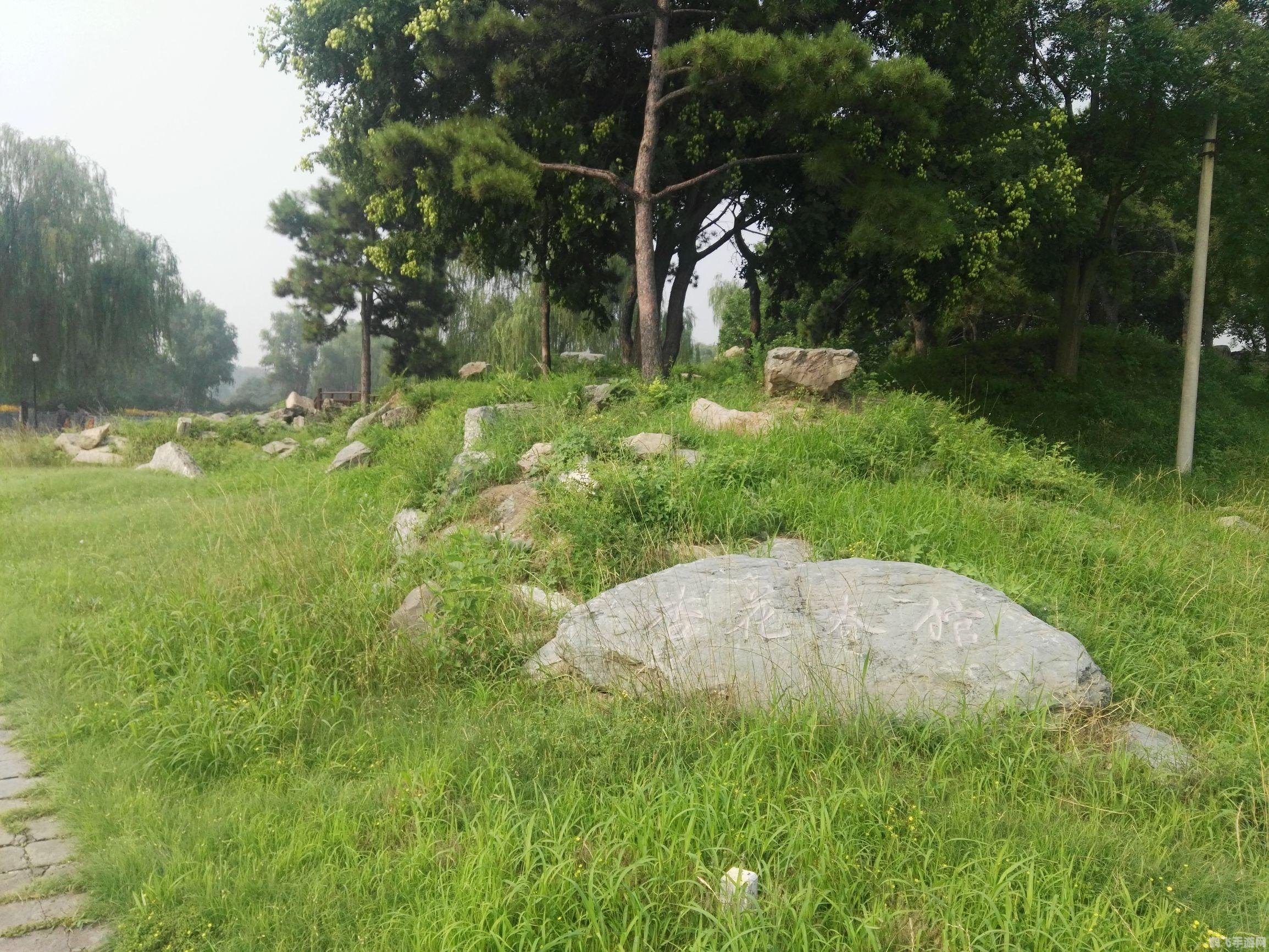 周易起名字软件助力游戏角色命名,打造个性化游戏体验