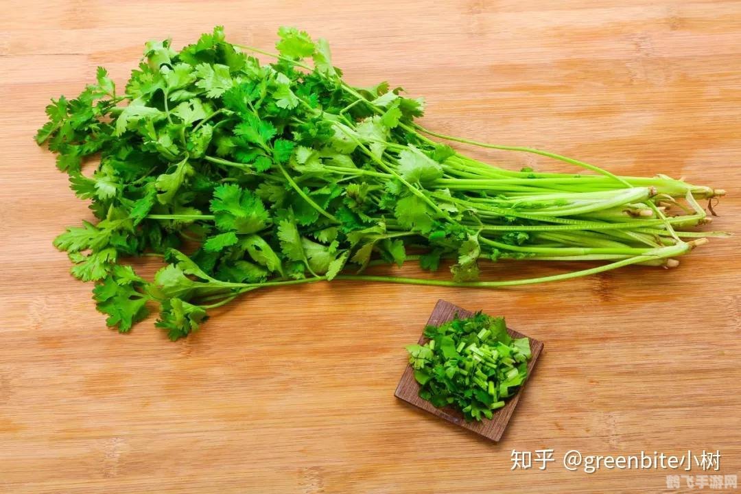 香菜和柠檬哪个维生素c含量高,香菜与柠檬，维生素C的王者之争