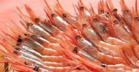 虾头变黑并非重金属超标,揭秘虾类食材的真相