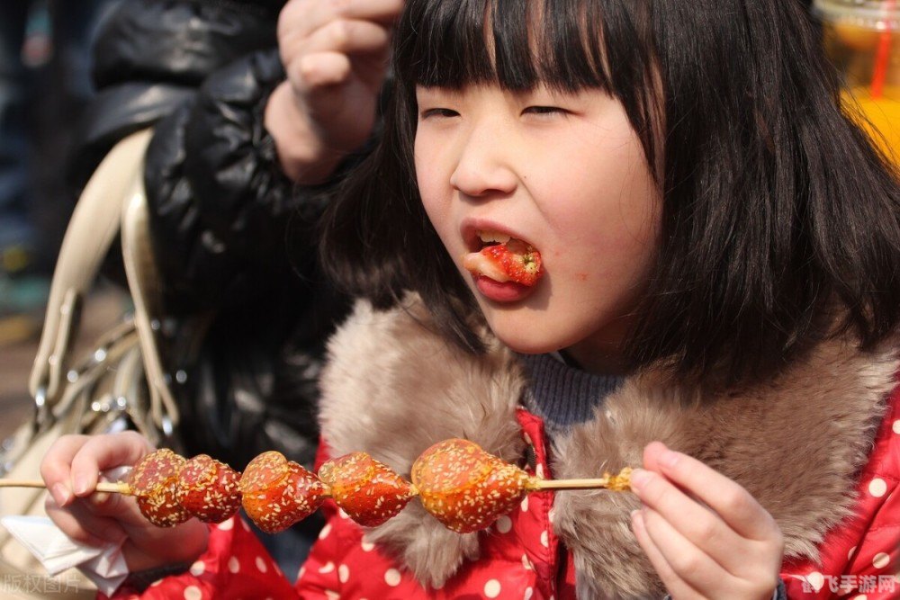 冰糖葫芦手游,探寻年味,重温童年记忆