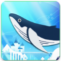 我的小小水族馆