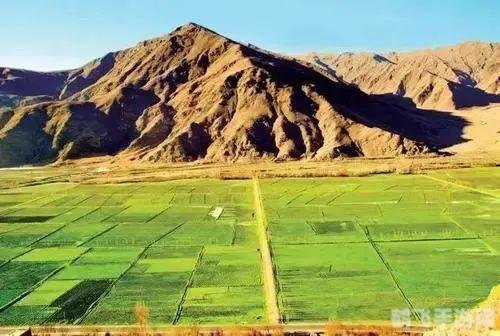 逗小猴开心4攻略,逗小猴开心4全攻略,解锁快乐之源