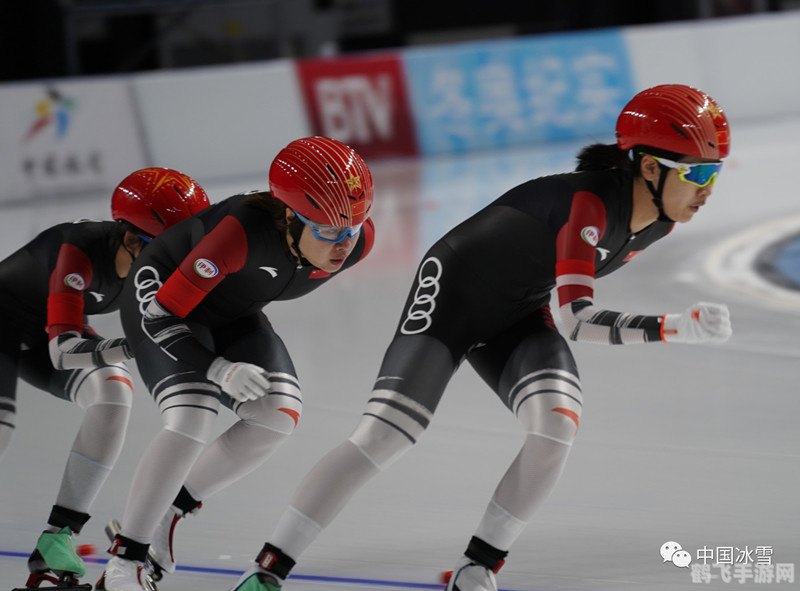 短道速滑与速度滑冰,两项不同的冰上挑战