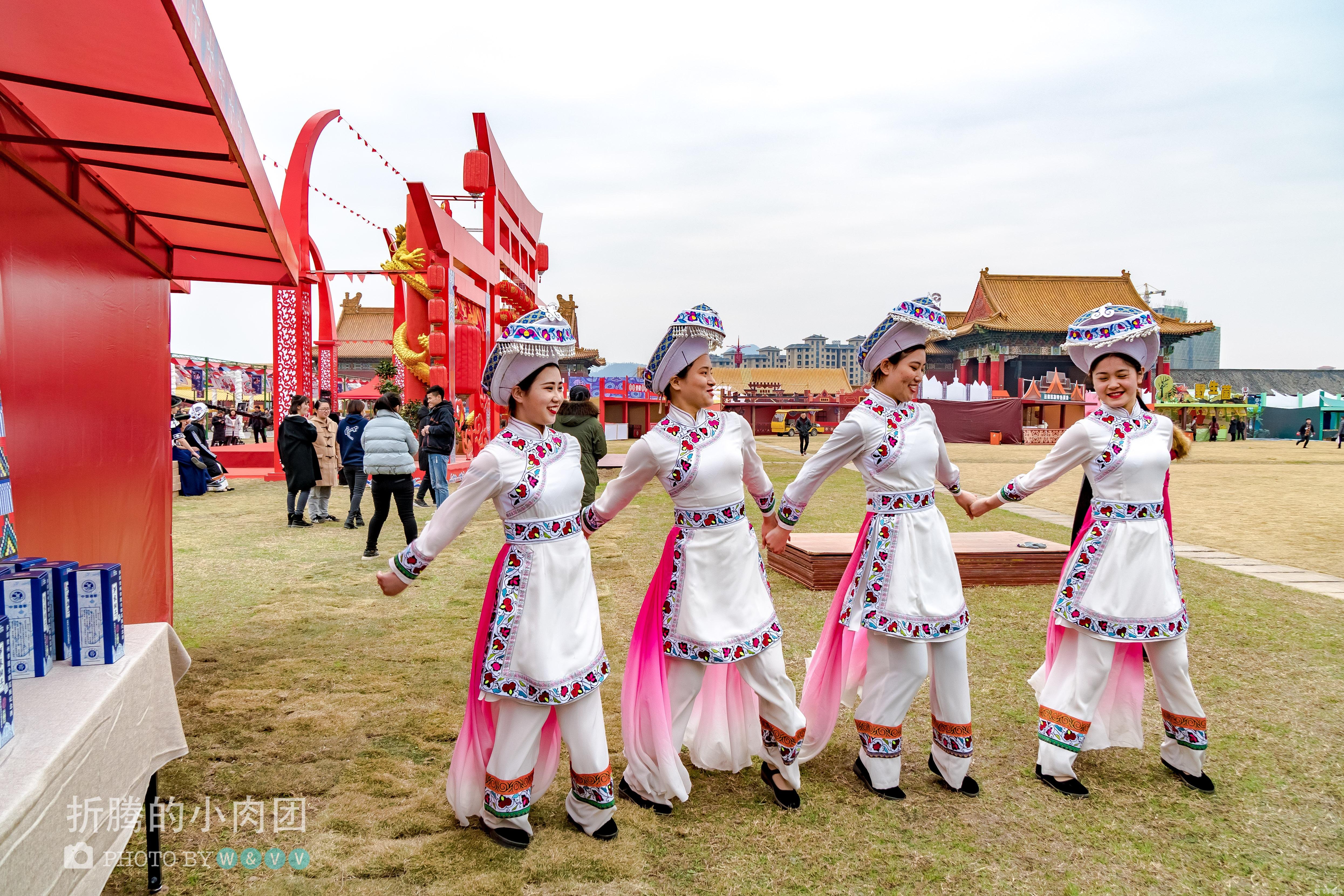 老司机带带我精彩免费,老司机带你飞?手游攻略大揭秘,玩转游戏世界!