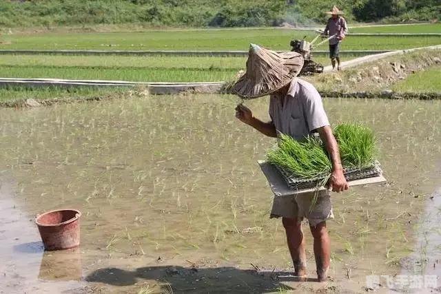 现在什么游戏最赚钱,手游赚钱新潮流,探索最盈利游戏及其攻略