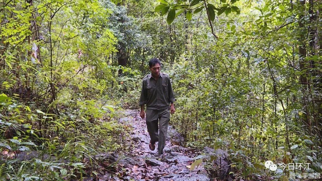 ben10地球保卫者,Ben10地球保卫者手游攻略,变身英雄,守护地球!