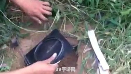 野猪套怎么做,野猪套制作指南，打造游戏中的强力装备