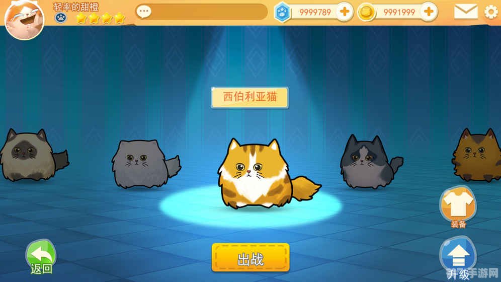 愤怒的猫咪,愤怒的猫咪手游攻略,成为顶级猫战士的秘诀