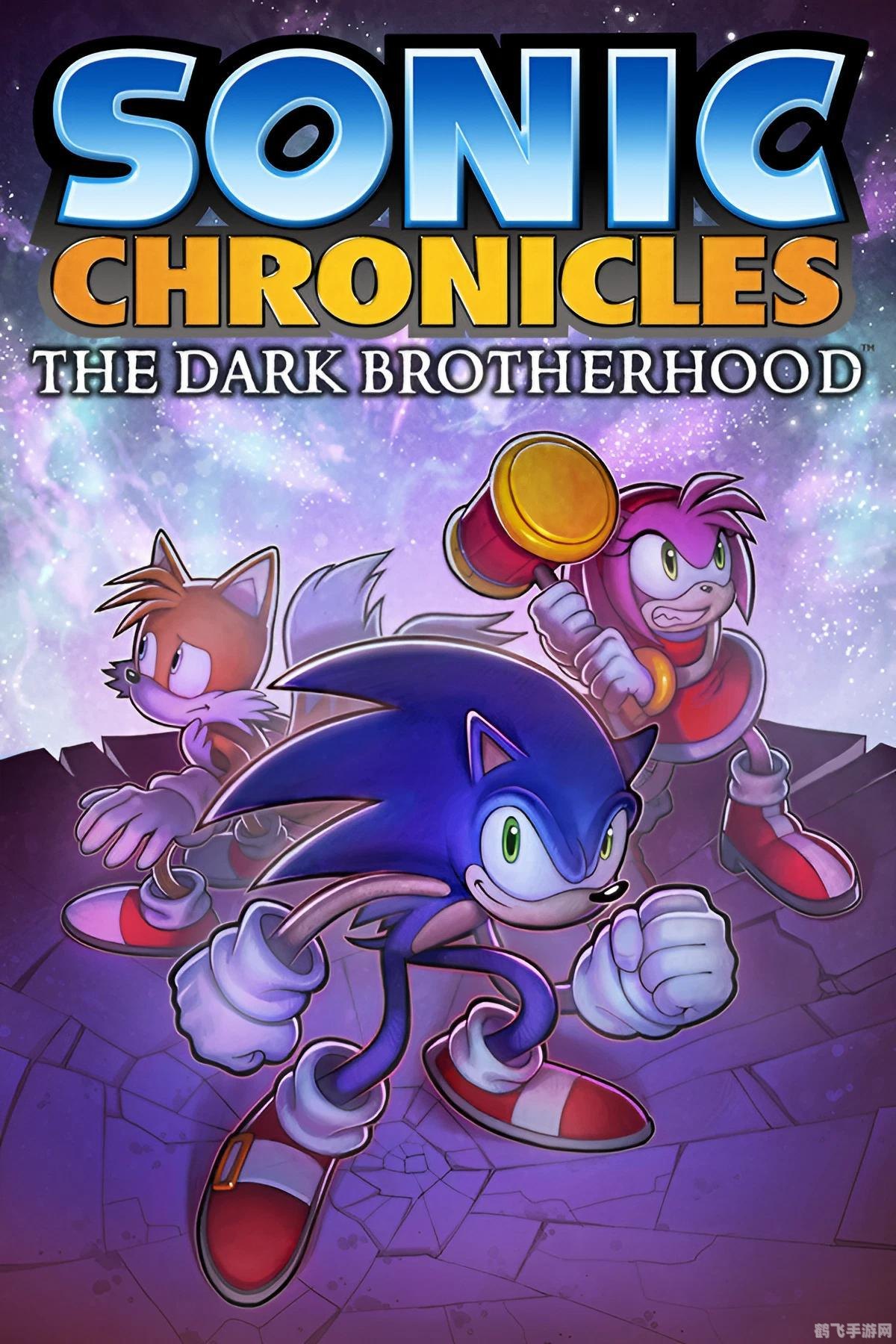 索尼克rpg大战4下,索尼克RPG大战4下热血冒险再度启程