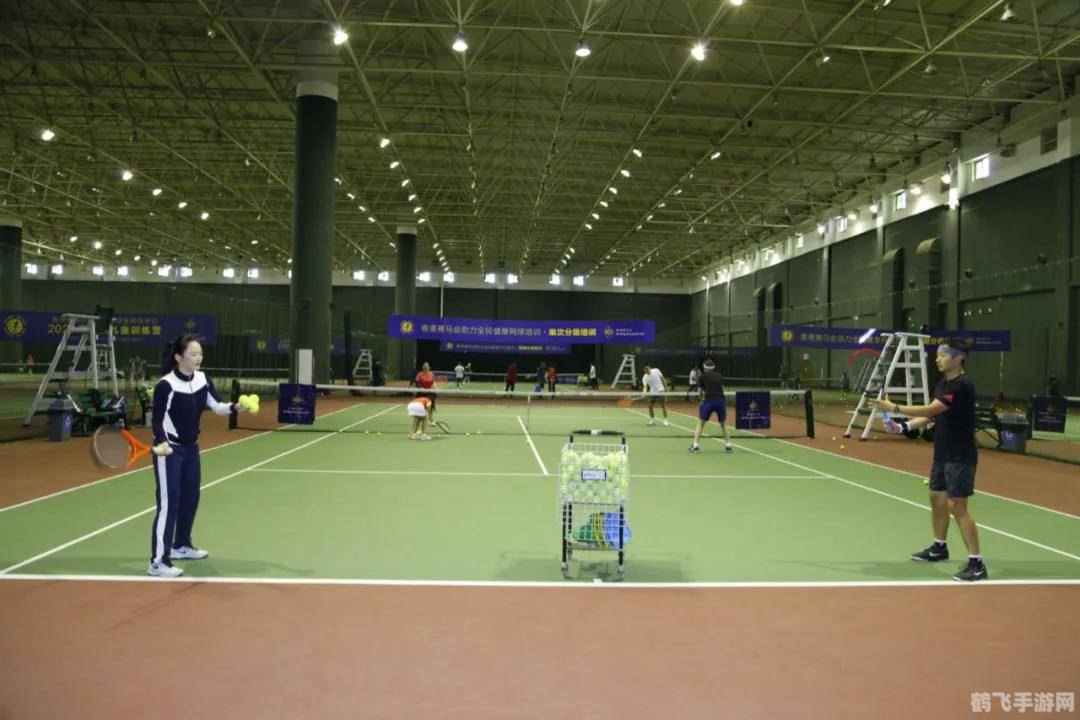 psp大众网球攻略,PSP大众网球必胜攻略,掌握技巧,称霸球场!