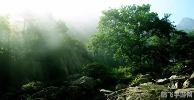 岱宗为何指代泰山?探秘游戏中的泰山挑战!