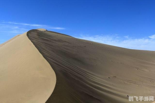 驾驭沙漠之舟,探索无尽沙海——骆驼手游玩法攻略