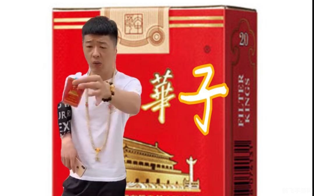 秋天的第一包华子,秋天的第一包华子,手游攻略与玩法大揭秘