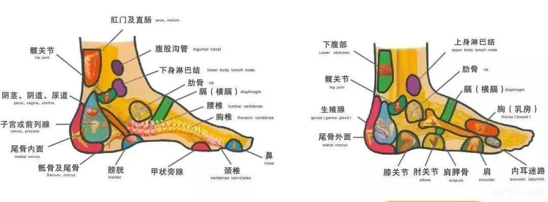 足下的历史渊源