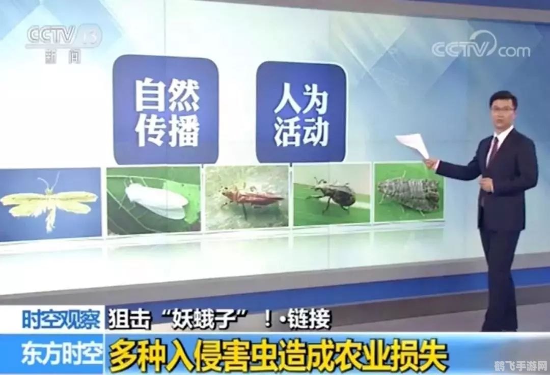 南方都市报电子版,热门新游梦幻仙境全面解析与攻略