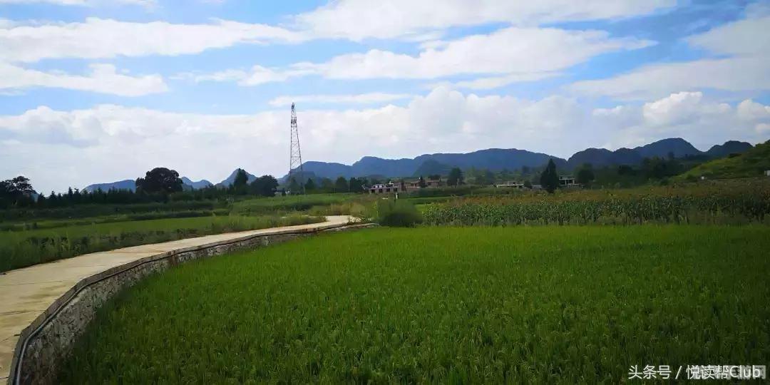 安顺捉鸡麻将,安顺捉鸡麻将攻略,玩转贵州特色棋牌游戏