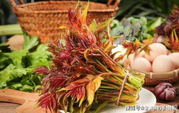 雨前椿芽嫩如丝揭秘，谷雨节气与香椿的鲜嫩之缘