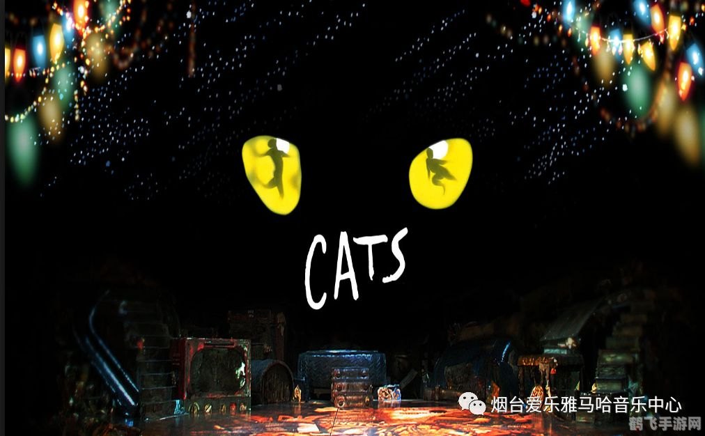 猫的二重唱,探索音乐与冒险的奇妙交融