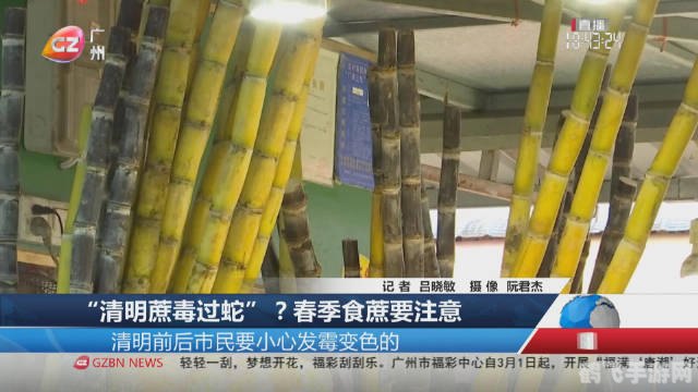 清明蔗毒过蛇真正原因,揭秘清明蔗毒过蛇背后的真相与手游攻略